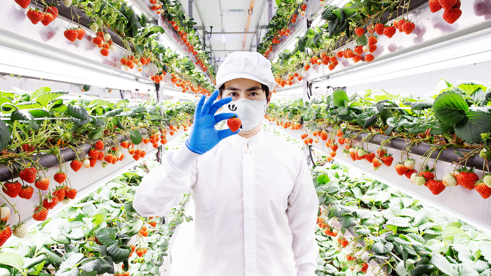 Vertical Farming Company Oishii Raises $134M Series B to Expand